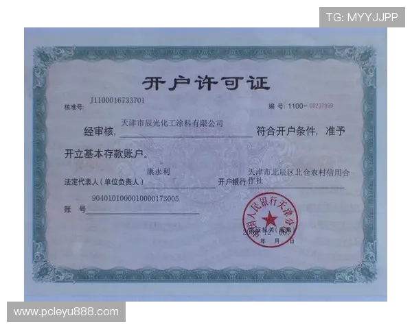 乐鱼账户登录遇到问题怎么办全面解决登录难题指南